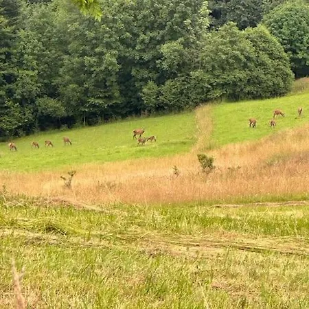度假居 Panorama Sucha Gora Skawica (Lesser Poland)