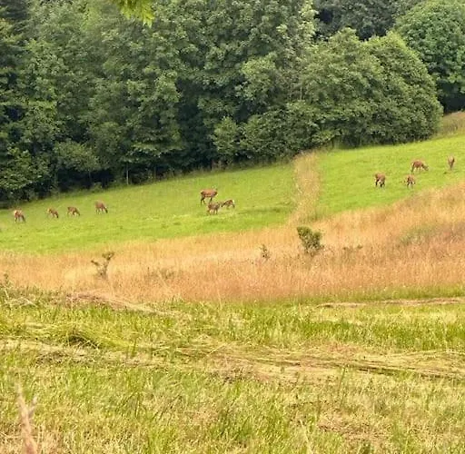 Holiday home Panorama Sucha Gora Skawica (Lesser Poland)